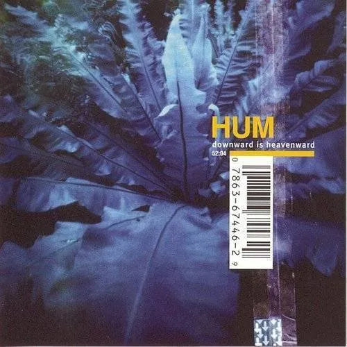 HUM Downword is Heavenward レコード Hum - Downward Is Heavenward [2xLP] – Seasick Records