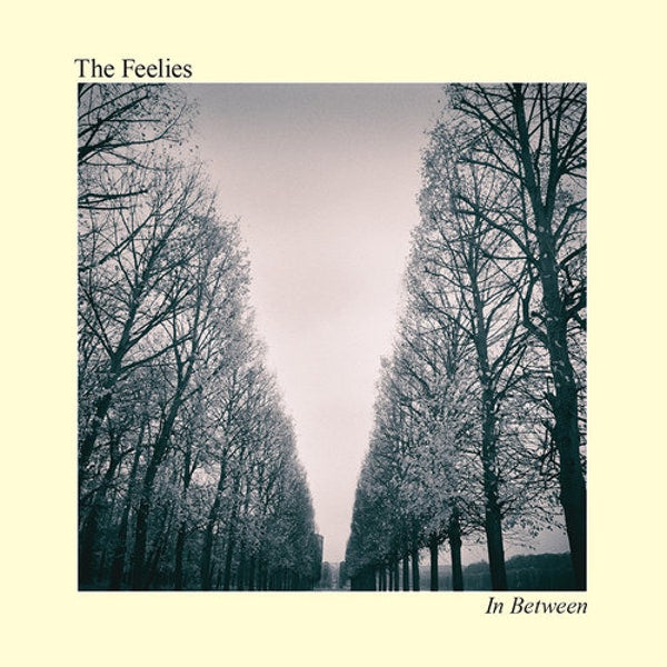 Feelies, The  - In Between [LP]