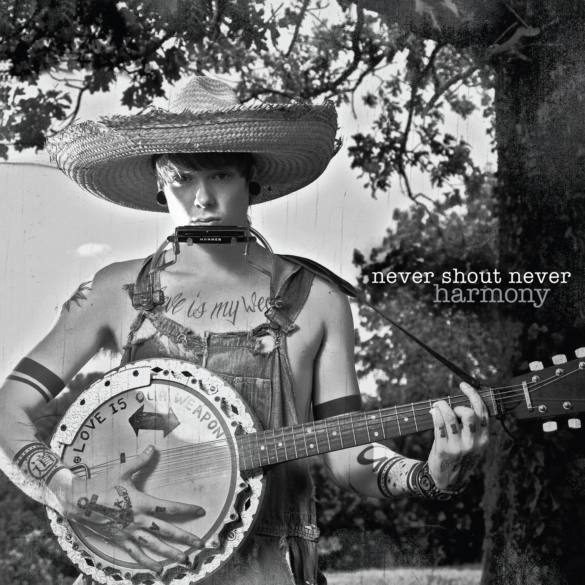 Never Shout Never - Harmony (ROCKtober 2026) [LP]