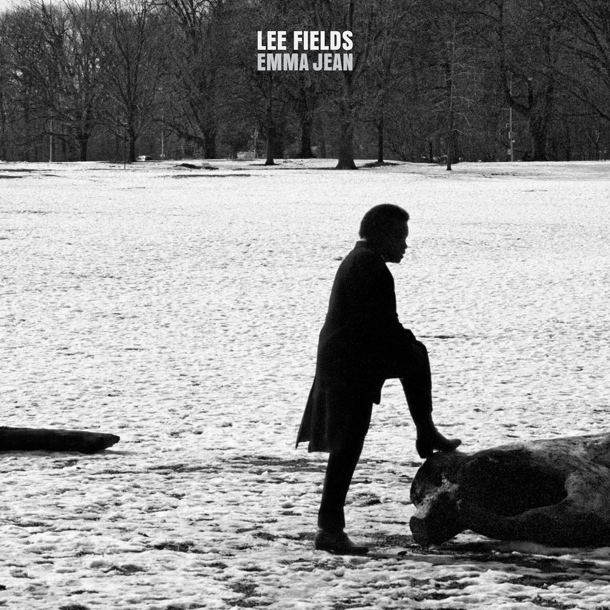 Lee Fields - Emma Jean [LP - Ultra Clear]