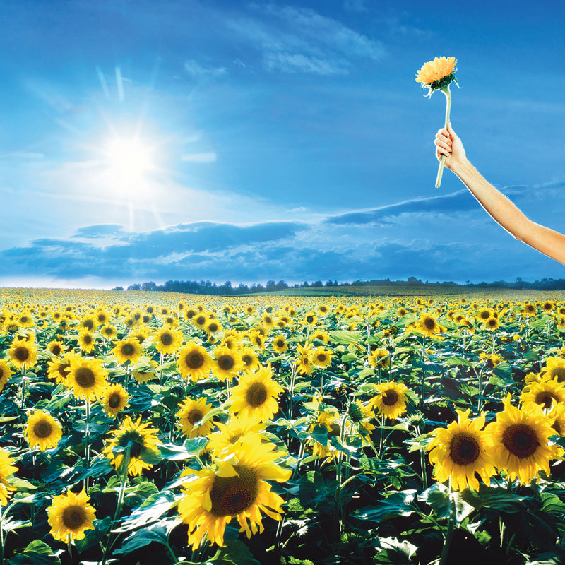 Stone Temple Pilots - Thank You [2xLP - Sky Blue]