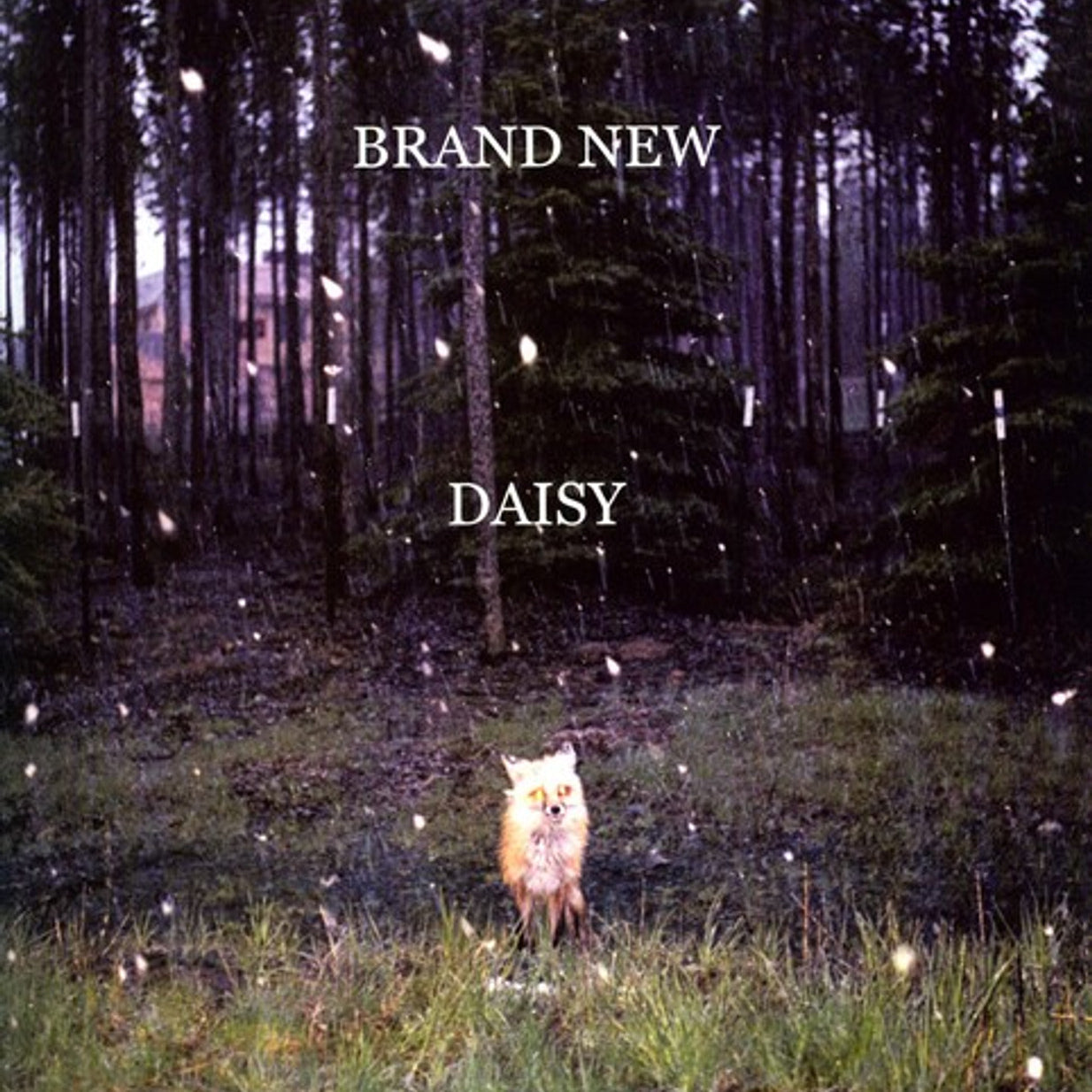 Brand New - Daisy [LP]
