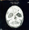 Bonnie Prince Billy - I See A Darkness [LP]