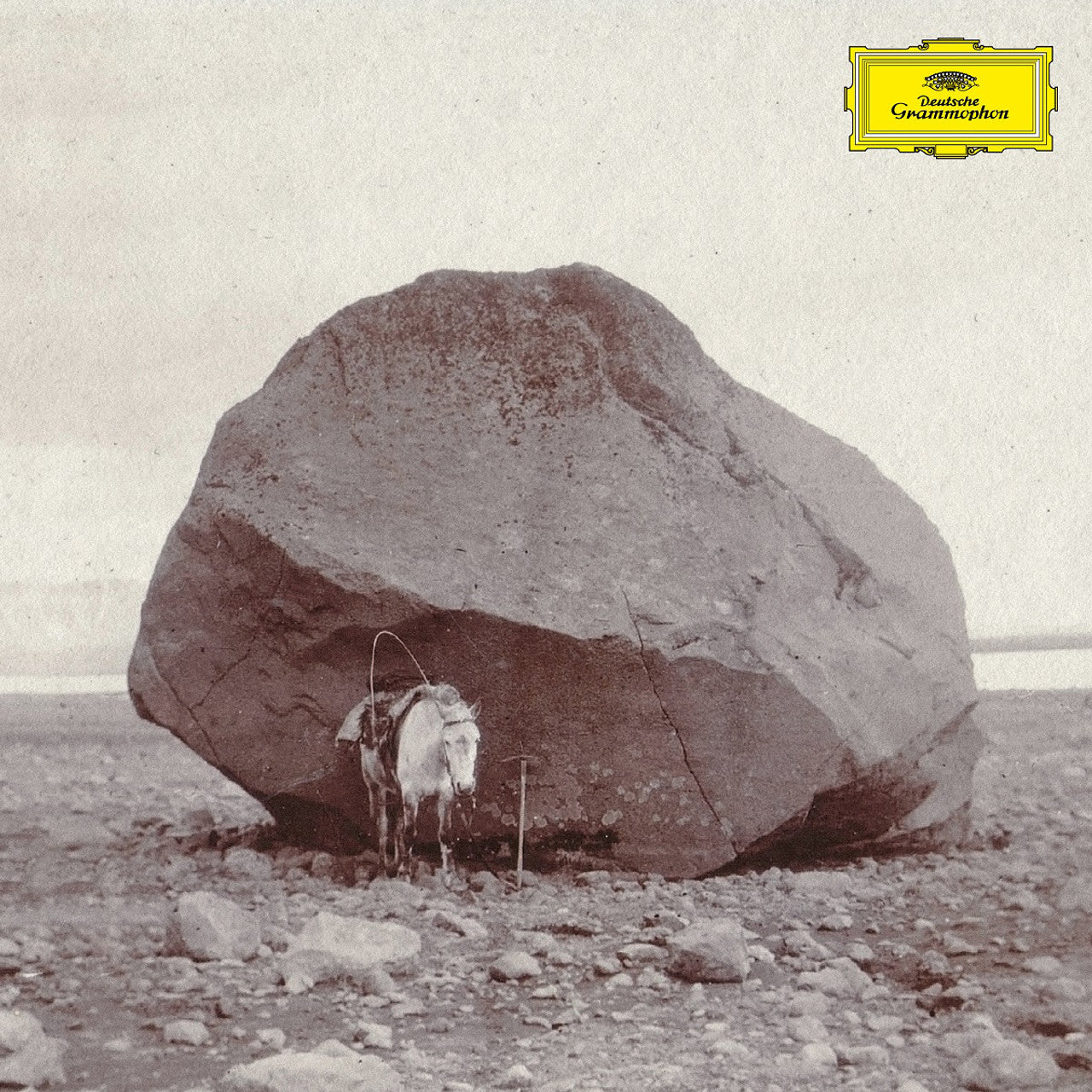 Snorri Hallgrmmsson - Longer Shadows, Softer Stones [LP]