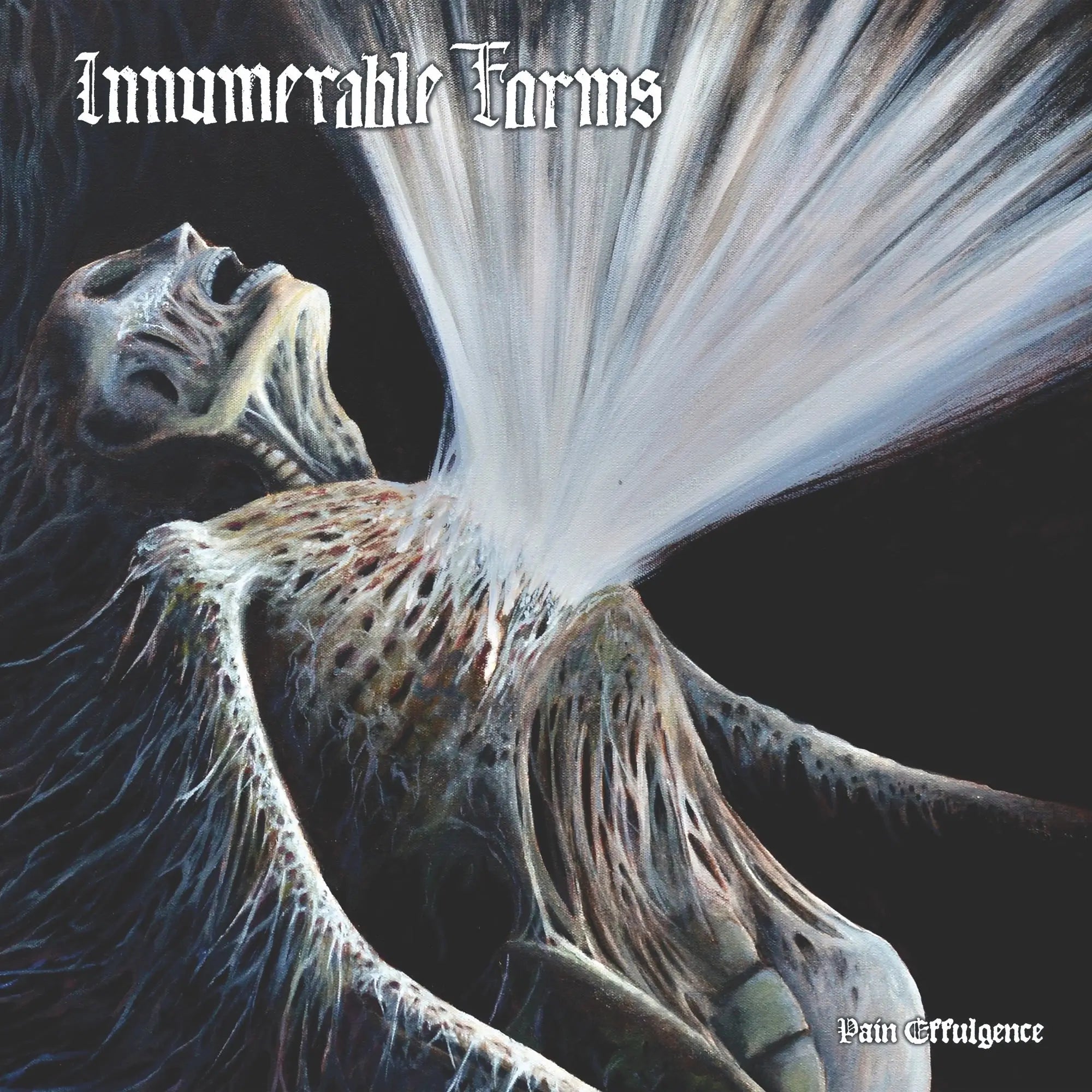 Innumerable Forms - Pain Effulgence [LP]