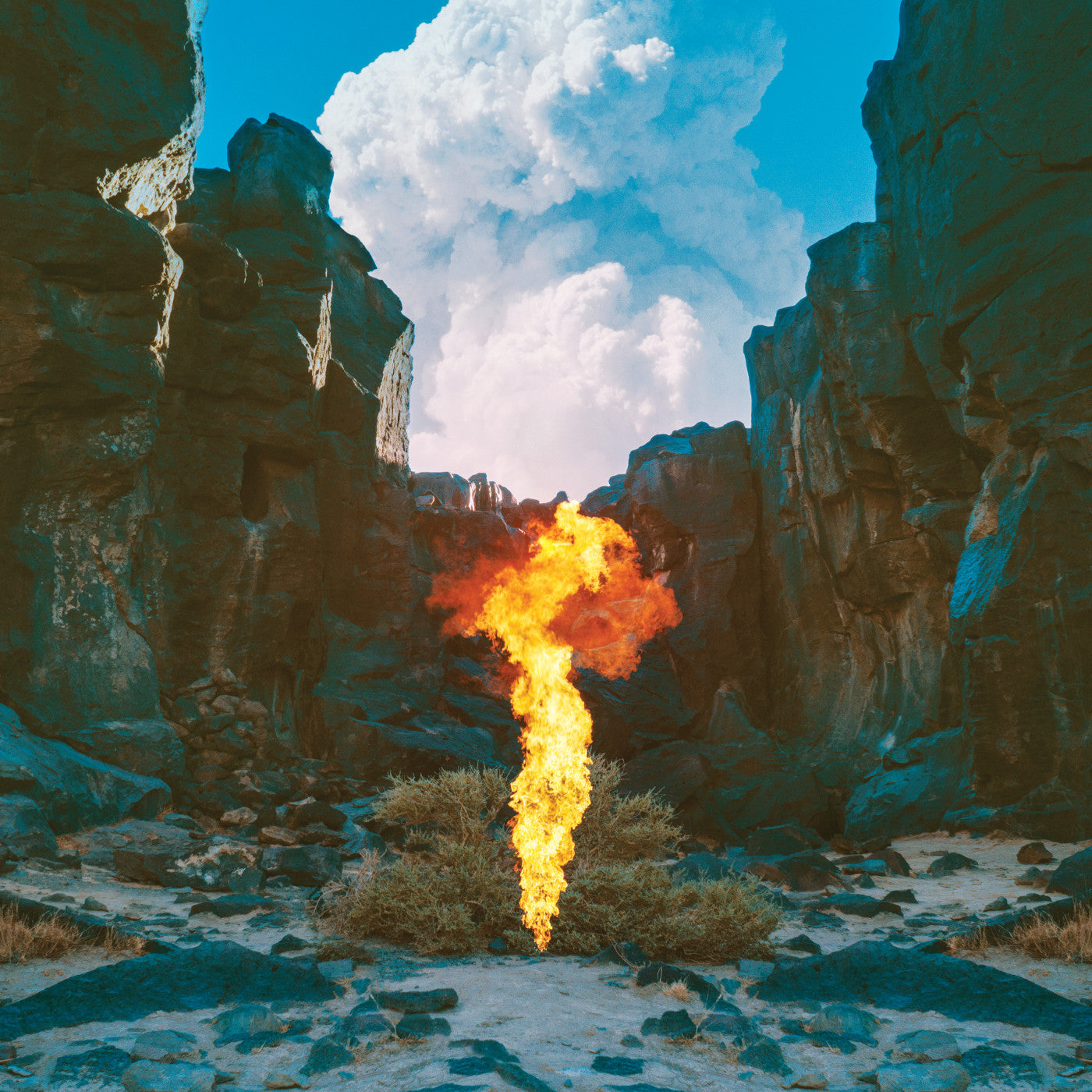 Bonobo - Migration [2xLP]