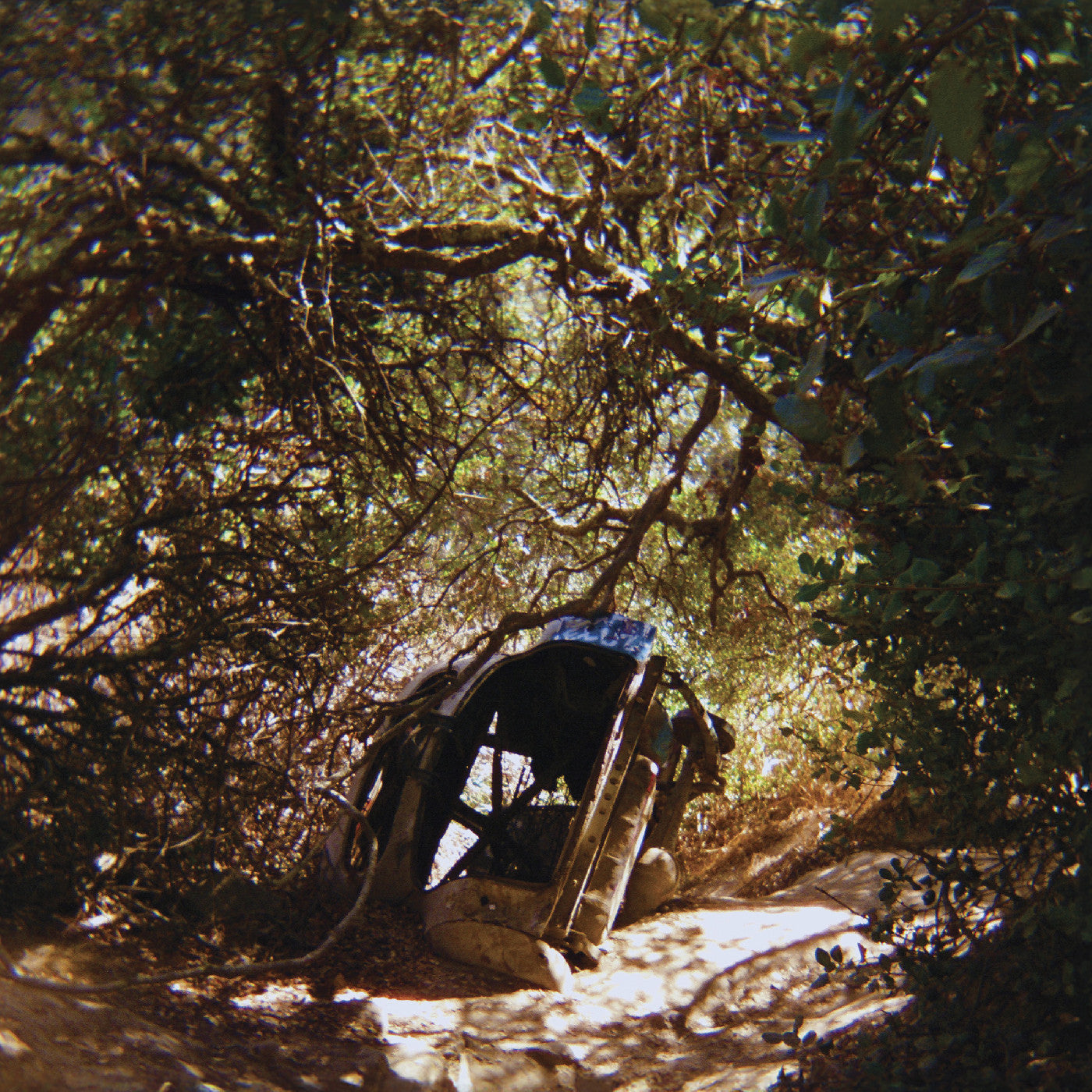 Ty Segall - Possession [LP]
