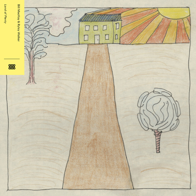 Bill MacKay & Ryley Walker - Land of Plenty [LP]
