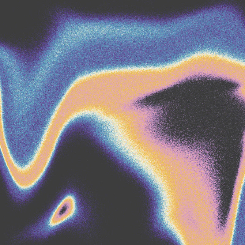 Jamie Lidell & Luke Schneider - A Companion for the Spaces Between Dreams [LP]