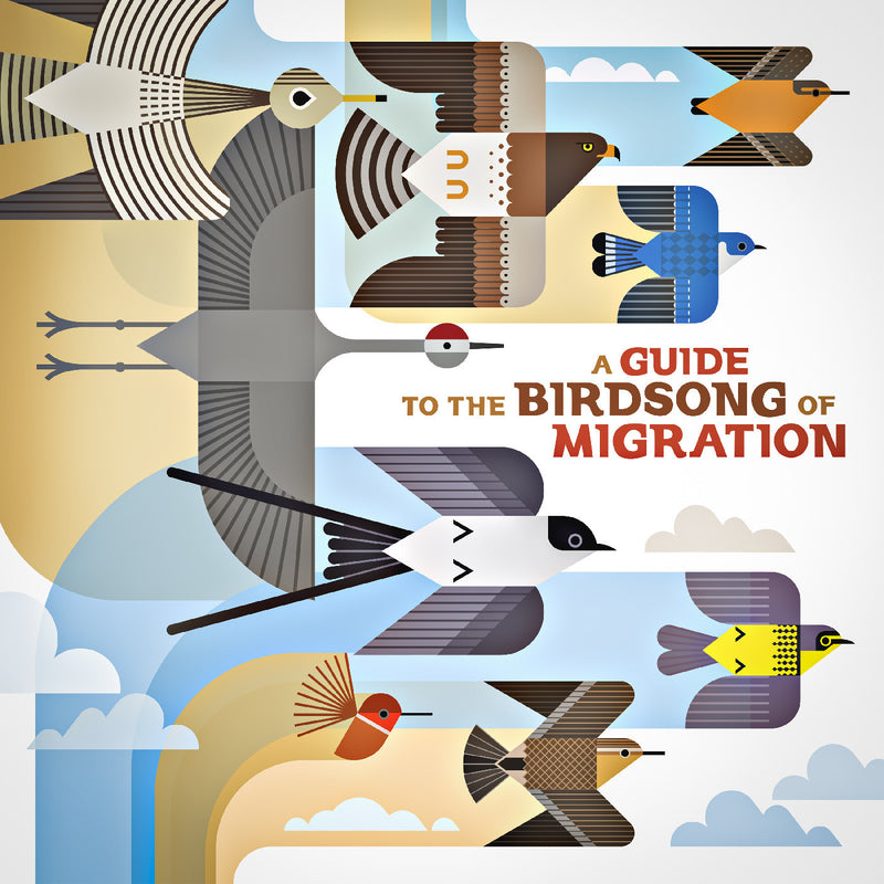 Various Artists - A Guide To The Birdsong Of Migration [LP]