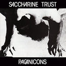 Saccharine Trust - Pagan Icons [LP]
