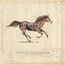 Turnpike Troubadours - A Long Way From Your Heart [2xLP]