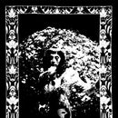 Cindy Lee - Model Express [LP]