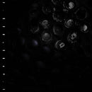 Crumb - Ice Melt [LP]
