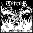 Terror - Pain Into Power [LP]