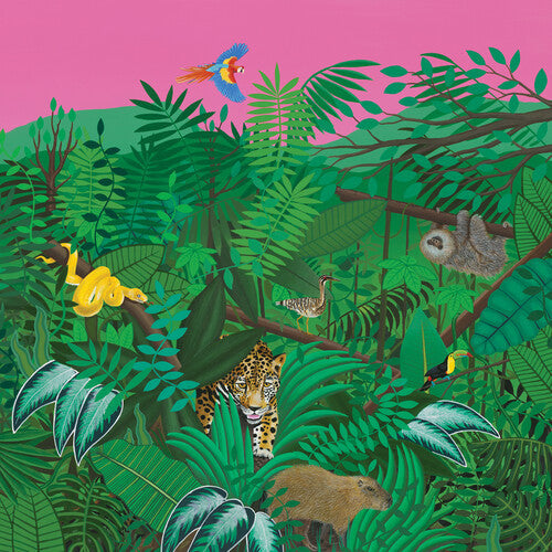 Turnover - Good Nature [LP - Evergreen]