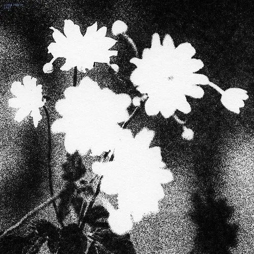 Loma Prieta - Last [LP - Black/White Cornetto]