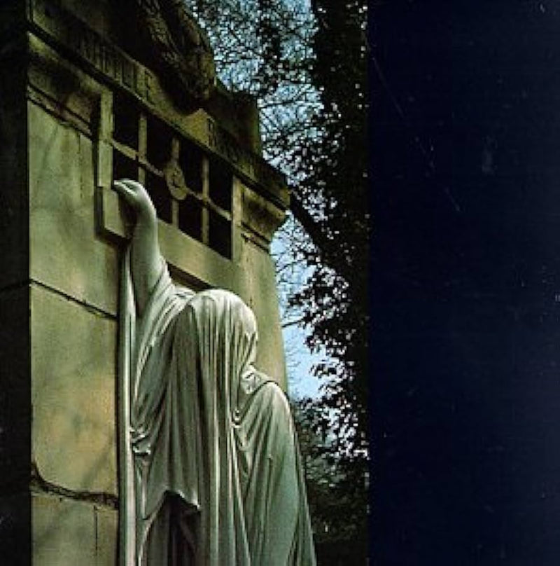 Dead Can Dance - Within The Realm Of A Dying Sun [LP]