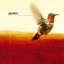 Guster - Keep It Together [LP - Kelly Green]