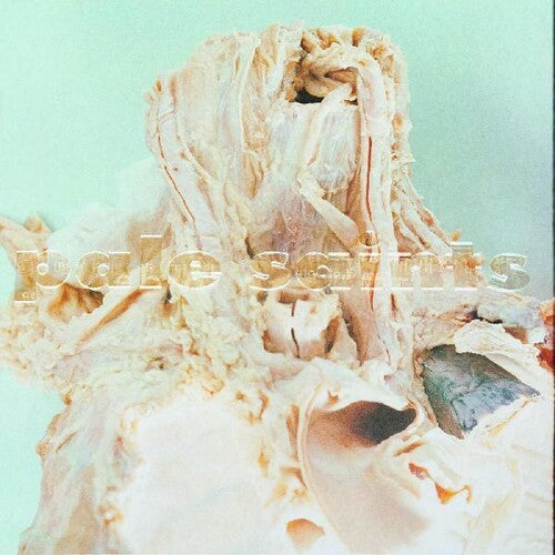 Pale Saints - In Ribbons [LP]