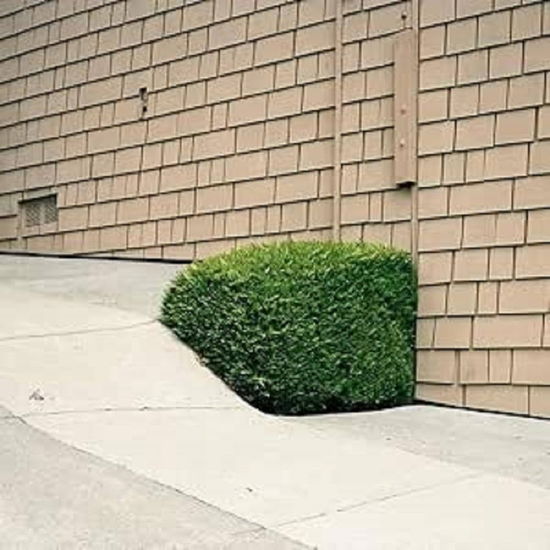 Ezra Feinberg - Soft Power [LP]