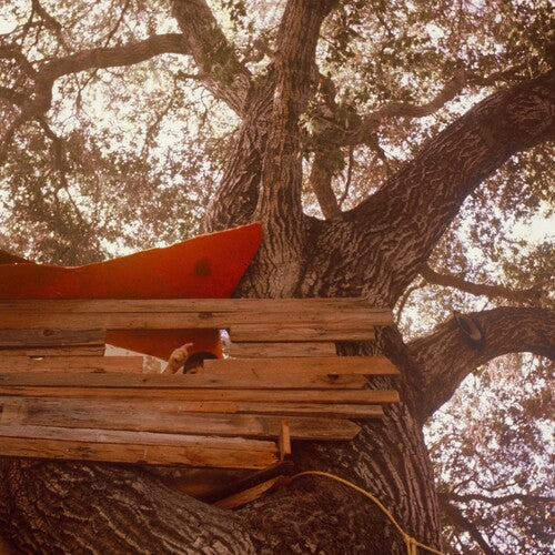 Backseat Lovers, The - Waiting To Spill [LP - Red]