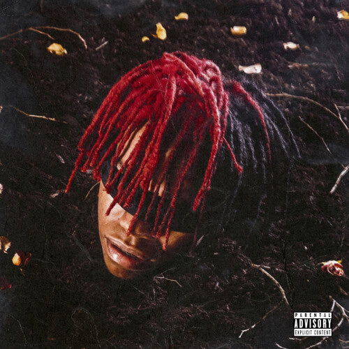 DC The Don - Funeral [LP]