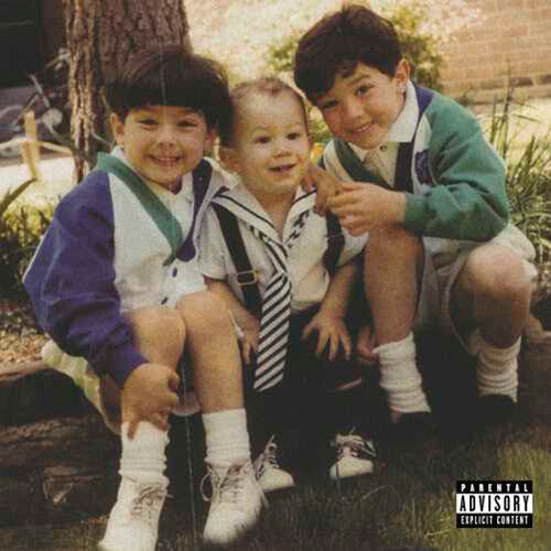 Jonas Brothers, The - The Family Business [2xLP]