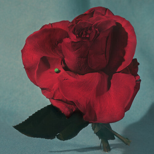 Metz - Up On Gravity Hill [LP - Red]