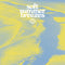 Various Artists - Soft Summer Breezes [LP - Clear/Yellow]