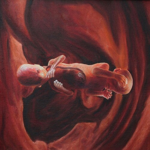 Coalesce - 0:12 Revolution In Just Listening [LP - Swirl]
