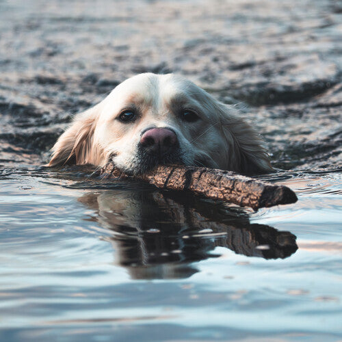Orebolo - The Chateau [2xLP - Black/White]