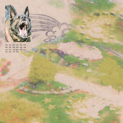 feeble little horse - Girl With Fish [LP - Rainbow Sprinkle Splatter]