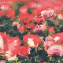 Rival Schools - Pedals [2xLP - Pink]
