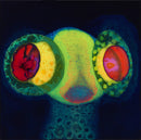 Osees - Sorcs 80 [LP - Color]