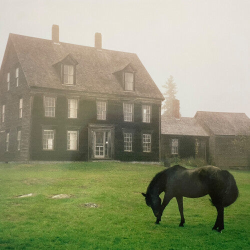 Lutalo - The Academy [LP - Meadow Green]