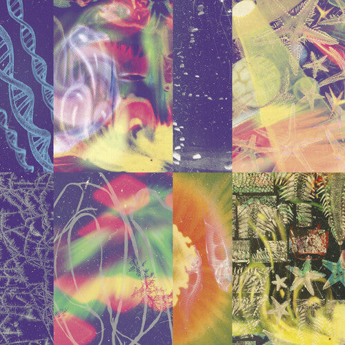 Nap Eyes - The Neon Gate [LP]
