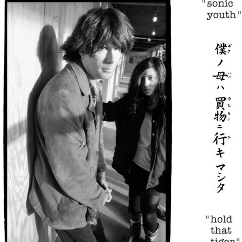 Sonic Youth - Hold That Tiger [LP - Clear]