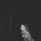 Samia - Bloodless [LP - Clear/Smoke]