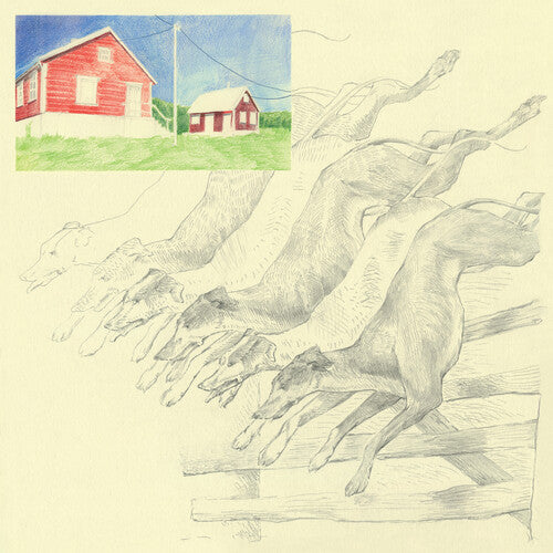 Quickly Quickly - I Heard That Noise [LP - Mint Green]