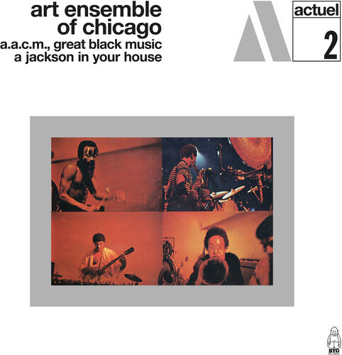 The Art Ensemble of Chicago - A Jackson In Your House [LP]