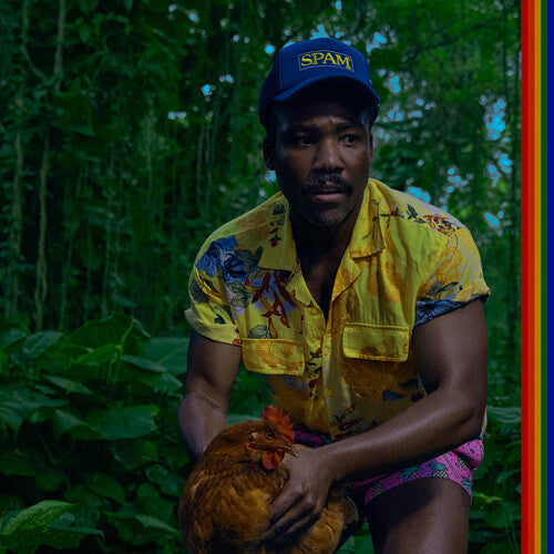 Childish Gambino - Bando Stone And The New World [2xLP]