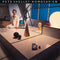 Pete Shelley - Homosapien [2xLP]