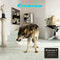 Grinderman - Grinderman 2 [LP]