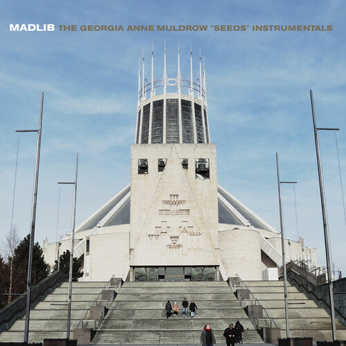 Madlib - Seeds (Instrumentals) [LP]