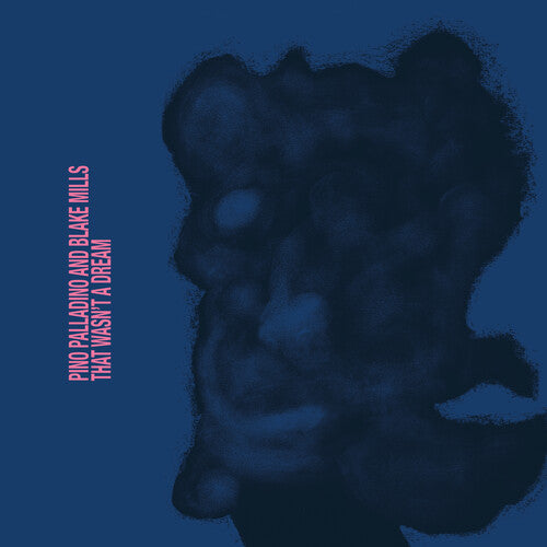 Pino Palladino & Blake Mills - That Wasn't A Dream [LP]