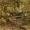 Luke Scneider - For Dancing In Quiet Light [LP]