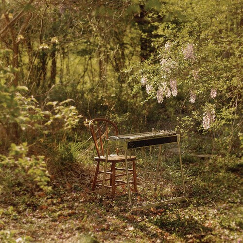 Luke Scneider - For Dancing In Quiet Light [LP]