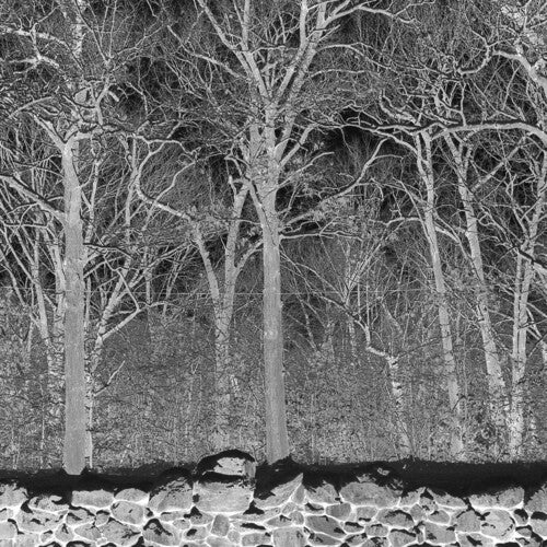 Pile - Sunshine & Balance Beams [LP - Boris Purple]