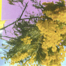 Four Tet - Into Dust (Still Falling) [LP]